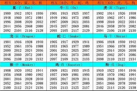 81年 生肖|1981 年出生属什么生肖